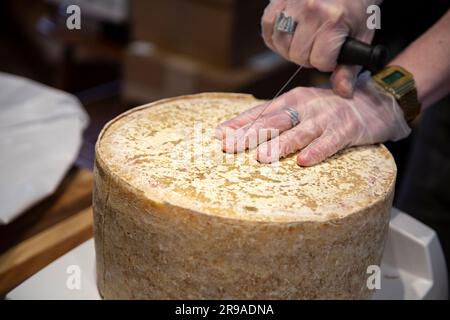 Roue de coupe de cheesemonger de cheddar attaché de tissu de 7 mois, Grafton Village Cheese Shop, Grafton, Vermont, États-Unis Banque D'Images