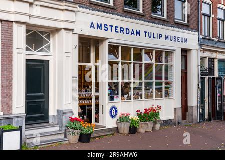 Amsterdam, pays-Bas - 17 octobre 2021: Vue de face du Musée des tulipes d'Amsterdam, un magasin où les bulbes de tulipes sont vendus et les types de tulipes sont exposés. Banque D'Images