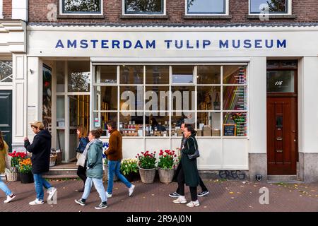 Amsterdam, pays-Bas - 17 octobre 2021: Vue de face du Musée des tulipes d'Amsterdam, un magasin où les bulbes de tulipes sont vendus et les types de tulipes sont exposés. Banque D'Images