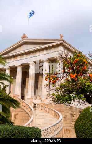 Orangers dans le jardin de l'Académie d'Athènes, l'académie nationale de Grèce, et le plus haut centre de recherche du pays. Banque D'Images