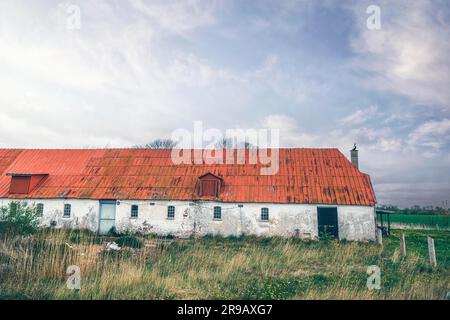 Ancienne grange en pierre dans un paysage rural avec de l'herbe haute Banque D'Images