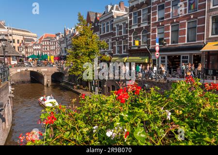 Bâtiments traditionnels hollandais et vue sur la rue autour des beaux canaux de la ville d'Utrecht, province des pays-Bas d'Utrecht. Banque D'Images