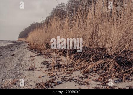 Plage paysage idyllique en hiver Banque D'Images