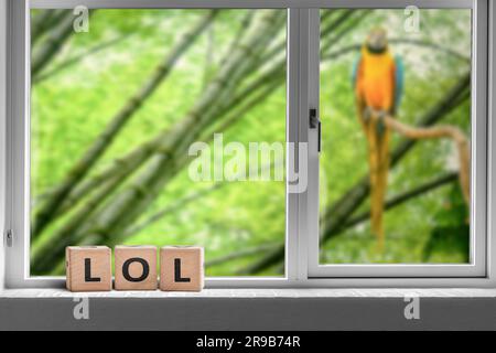 LOL ouvrir une fenêtre dans un espace d'un perroquet assis dans un arbre Banque D'Images