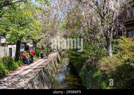 Kyoto 2023 les philosophes marchent le chemin à Kyoto, le jour du printemps, Japon, Asie 2023 Banque D'Images