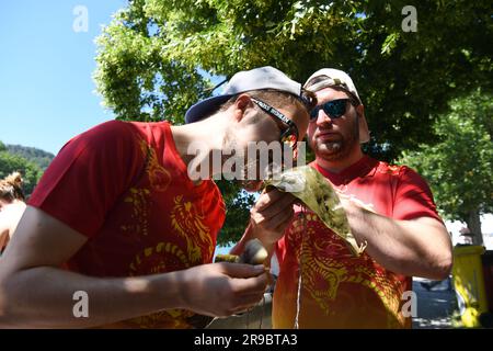 Eglisau, Suisse. 25th juin 2023. Un participant goûte des boulettes de riz collantes, connues sous le nom de zongzi, lors de la course de bateaux-dragons d'Eglisau en 31st à Eglisau, en Suisse, au 25 juin 2023. La course de bateaux-dragons d'Eglisau 31st s'est déroulée sur le Rhin dans la ville suisse d'Eglisau pendant le week-end de 24-25 juin. Au total, 80 équipes, avec plus de 1 680 personnes, ont participé à la course. L'événement de deux jours a également vu 3 000 autres personnes encourager les participants. Credit: Lian Yi/Xinhua/Alay Live News Banque D'Images