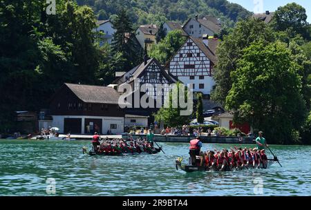 Eglisau, Suisse. 25th juin 2023. Les participants participent à la course de bateaux-dragons d'Eglisau 31st à Eglisau, en Suisse, au 25 juin 2023. La course de bateaux-dragons d'Eglisau 31st s'est déroulée sur le Rhin dans la ville suisse d'Eglisau pendant le week-end de 24-25 juin. Au total, 80 équipes, avec plus de 1 680 personnes, ont participé à la course. L'événement de deux jours a également vu 3 000 autres personnes encourager les participants. Credit: Lian Yi/Xinhua/Alay Live News Banque D'Images