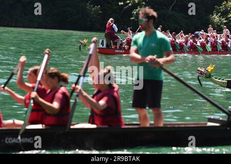 Eglisau, Suisse. 25th juin 2023. Les participants participent à la course de bateaux-dragons d'Eglisau 31st à Eglisau, en Suisse, au 25 juin 2023. La course de bateaux-dragons d'Eglisau 31st s'est déroulée sur le Rhin dans la ville suisse d'Eglisau pendant le week-end de 24-25 juin. Au total, 80 équipes, avec plus de 1 680 personnes, ont participé à la course. L'événement de deux jours a également vu 3 000 autres personnes encourager les participants. Credit: Lian Yi/Xinhua/Alay Live News Banque D'Images
