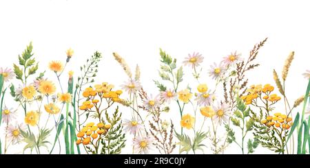 Bordure sans couture avec herbes et fleurs sauvages, feuilles, papillons. Illustration botanique sur fond blanc. Modèle avec place pour le texte. Banque D'Images