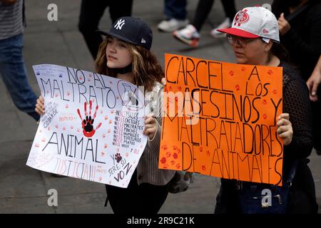 Non exclusif: 25 juin 2023, Mexico, Mexique: Des milliers de personnes ont participé à la Marche des citoyens pour les droits des animaux, exigeant une législation pour Banque D'Images