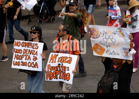 Non exclusif: 25 juin 2023, Mexico, Mexique: Des milliers de personnes ont participé à la Marche des citoyens pour les droits des animaux, exigeant une législation pour Banque D'Images