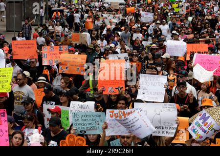 Non exclusif: 25 juin 2023, Mexico, Mexique: Des milliers de personnes ont participé à la Marche des citoyens pour les droits des animaux, exigeant une législation pour Banque D'Images