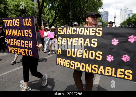 Non exclusif: 25 juin 2023, Mexico, Mexique: Des milliers de personnes ont participé à la Marche des citoyens pour les droits des animaux, exigeant une législation pour Banque D'Images