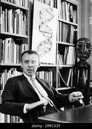 États-Unis: c. 1962 le Dr Jame D. Watson assis à son bureau devant un dessin de la structure en double hélice de l'ADN. Banque D'Images