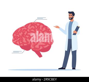 Le médecin donne un cours de formation sur l'anatomie. Médecin présentant des infographies du cerveau humain. Séminaire médical, conférence, concept de réunion de santé. VVecto Illustration de Vecteur