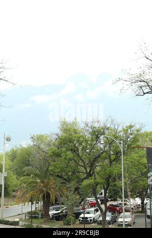 Mexique, San Pedro Garza Garcia - 26 août 2022: Beaucoup de belles voitures et arbres Banque D'Images