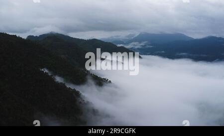 Vue aérienne des arbres dans la vallée avec brouillard le matin. Paysage de vallée brumeux et de nuages de montagne en thaïlande. L'aube des montagnes W Banque D'Images