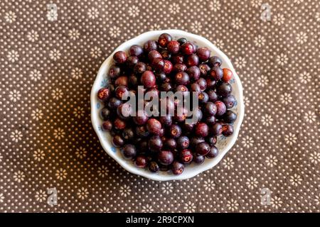 Les baies de fruits de Gurguray sont cultivées naturellement dans les régions sèches et vallonnées du Pakistan et chaque été portaient des fruits ronds non grands mais principalement de couleur noire Banque D'Images