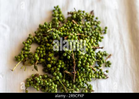 Poivre japonais de sansho vert frais ou frêne épineux pour une cuisine savoureuse. Banque D'Images