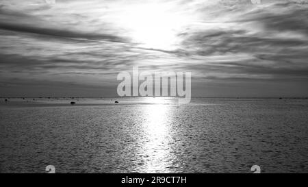 Coucher de soleil, mouettes dans le ciel. Ondes lumineuses. Prise de vue en noir et blanc. Île de Poel sur la mer Baltique. Photo de la nature de la côte Banque D'Images