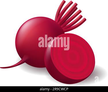 Légume de betterave fraîche photo réaliste Illustration de Vecteur