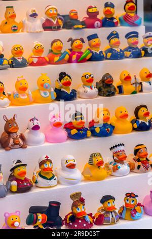 Saragosse, Espagne - 14 février 2022: Divers jouets de duckie sur la fenêtre d'exposition d'une boutique de jouets à Saragosse. Banque D'Images