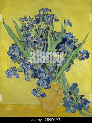 Vincent van Gogh – vase avec Ilevers sur fond jaune Banque D'Images