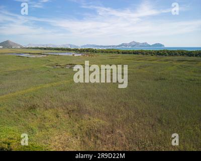 Vue sur la réserve naturelle de ses Salinetes, s'Albufera, Majorque, Espagne, 17 juin 2023 Banque D'Images