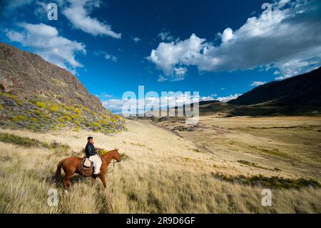 Patagonia Gaucho élevage de moutons sur Estancia Chacabuco, Patagonie. Banque D'Images