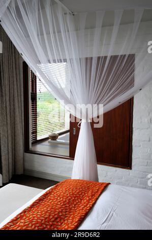 Chambre à Forest Lodge Suite, Réserve naturelle privée de Grootbos, Gansbaai, Cap occidental, Afrique du Sud Banque D'Images