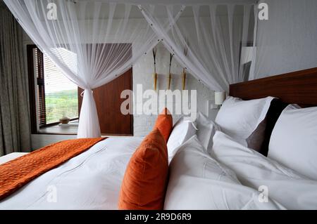 Chambre à Forest Lodge Suite, Réserve naturelle privée de Grootbos, Gansbaai, Cap occidental, Afrique du Sud Banque D'Images