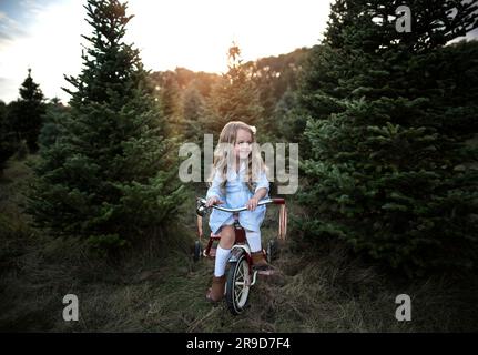 Petite fille souriant sur le vélo avec des arbres de noël Banque D'Images