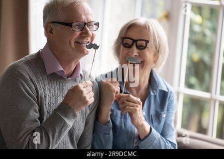 Couple de personnes âgées heureux tenant ensemble de fête ayant le plaisir à la maison Banque D'Images
