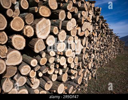 Pile de bois haché, préparé pour l'hiver Banque D'Images