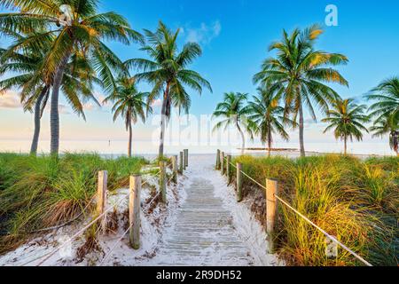 Smathers Beach, Sunrise magnifiquement encadré par Palm Trees Key West, Floride, États-Unis Banque D'Images