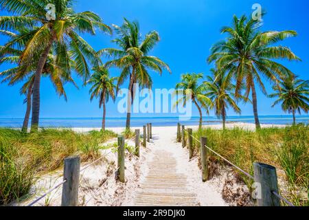 Smathers Beach, magnifiquement encadré par Palm Trees Key West, Floride, États-Unis Banque D'Images
