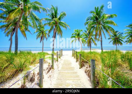 Smathers Beach, magnifiquement encadré par Palm Trees Key West, Floride, États-Unis Banque D'Images