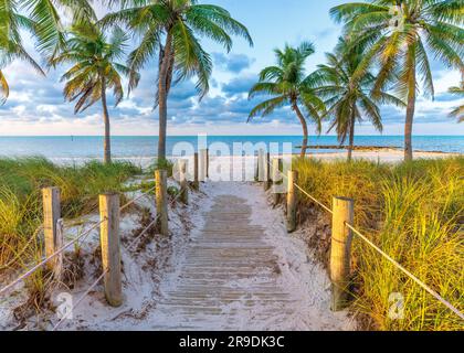 Smathers Beach, Sunrise magnifiquement encadré par Palm Trees Key West, Floride, États-Unis Banque D'Images