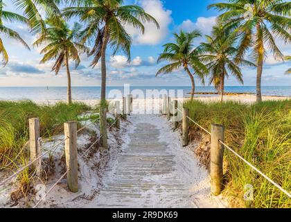 Smathers Beach, Sunrise magnifiquement encadré par Palm Trees Key West, Floride, États-Unis Banque D'Images