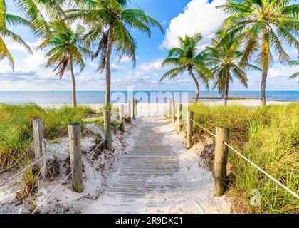 Smathers Beach, Sunrise magnifiquement encadré par Palm Trees Key West, Floride, États-Unis Banque D'Images