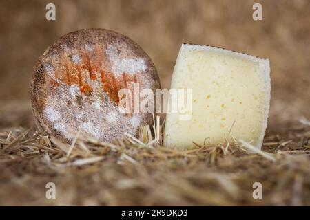 tête et morceaux de fromage dur vieilli dans le hayloft Banque D'Images