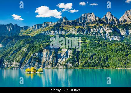 Vue sur le lac Walen avec une petite île (Schnittlauchinsel) et la chaîne de montagnes Churfirsten avec les sommets Fruemsel, Brisi und Zuestoll en arrière-plan. Canton St. Gallen, Suisse Banque D'Images