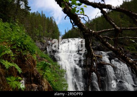 Un paysage tranquille avec une chute d'eau stupéfiante descendant en cascade sur une falaise rocheuse entourée d'une végétation luxuriante Banque D'Images