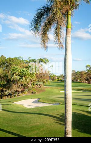 Piège à sable et fairway au Quail Creek Country Club, Naples, Floride, États-Unis Banque D'Images