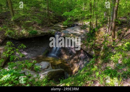 Randonnée jusqu'aux chutes Blue Hen dans le parc national de Cuyahoga Valley, Ohio, États-Unis. Banque D'Images