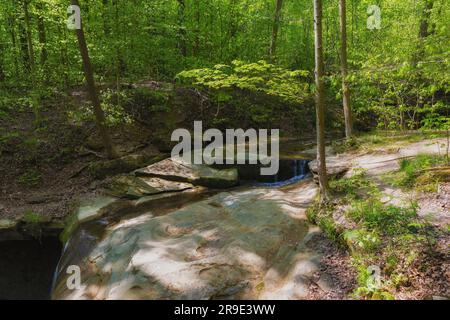 Randonnée jusqu'aux chutes Blue Hen dans le parc national de Cuyahoga Valley, Ohio, États-Unis. Banque D'Images