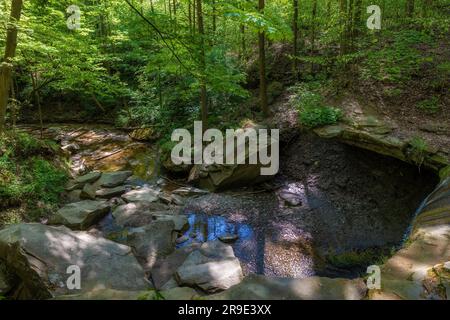 Randonnée jusqu'aux chutes Blue Hen dans le parc national de Cuyahoga Valley, Ohio, États-Unis. Banque D'Images