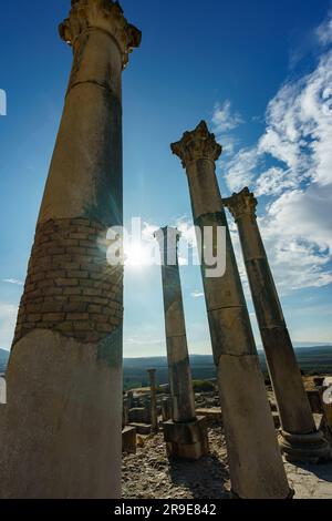 Maroc. Volubilis est une ville berbère partiellement excavée au Maroc située près de la ville de Meknes, et communément considérée comme l'ancienne capitale du Th Banque D'Images