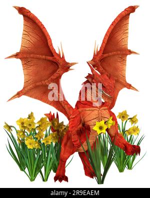 Dragon gallois rouge dans un groupe de jonquilles Banque D'Images