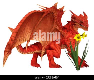 Dragon gallois rouge et jonquilles Banque D'Images